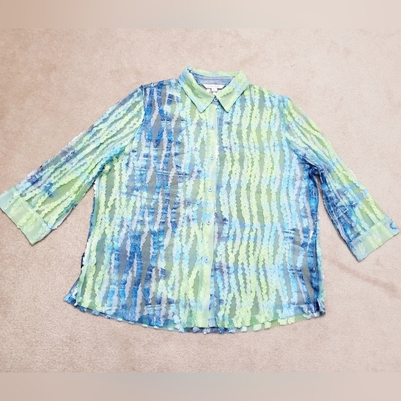 Erin London SZ XL Sheer Blouse Green Blue Stripe Textured Mesh Button Front Top - Picture 7 of 13